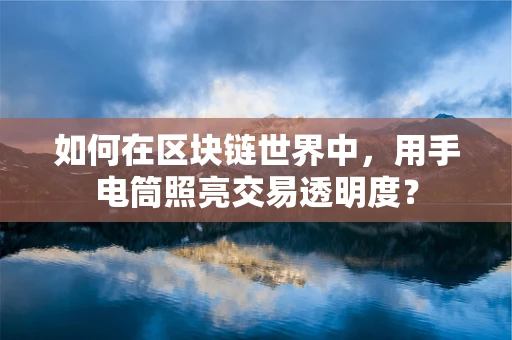 如何在区块链世界中，用手电筒照亮交易透明度？