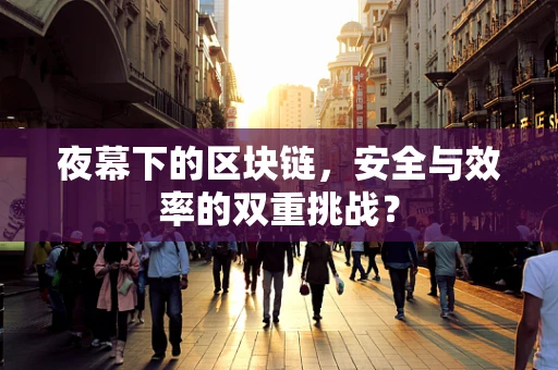 夜幕下的区块链，安全与效率的双重挑战？