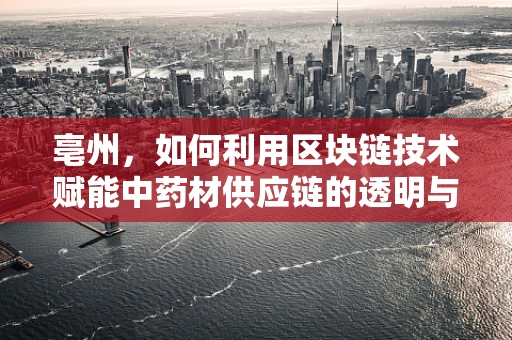 亳州，如何利用区块链技术赋能中药材供应链的透明与安全？