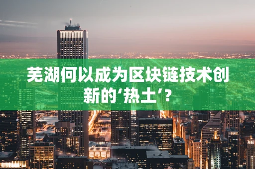 芜湖何以成为区块链技术创新的‘热土’？