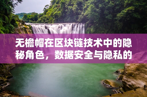 无檐帽在区块链技术中的隐秘角色，数据安全与隐私的守护者？