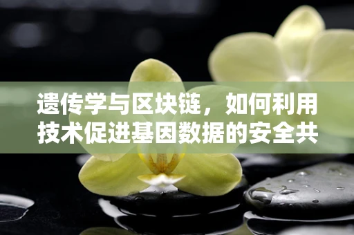 遗传学与区块链，如何利用技术促进基因数据的安全共享？