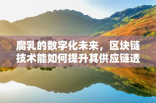 腐乳的数字化未来，区块链技术能如何提升其供应链透明度？