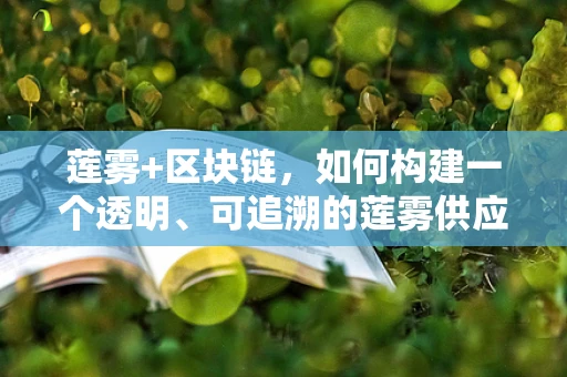 莲雾+区块链，如何构建一个透明、可追溯的莲雾供应链？
