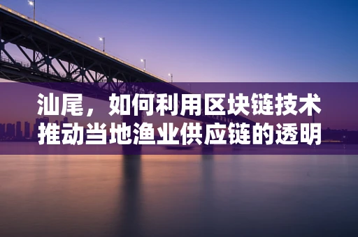 汕尾，如何利用区块链技术推动当地渔业供应链的透明化与效率提升？