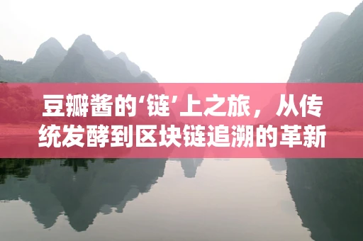 豆瓣酱的‘链’上之旅，从传统发酵到区块链追溯的革新