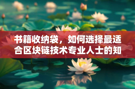 书籍收纳袋，如何选择最适合区块链技术专业人士的知识宝盒？