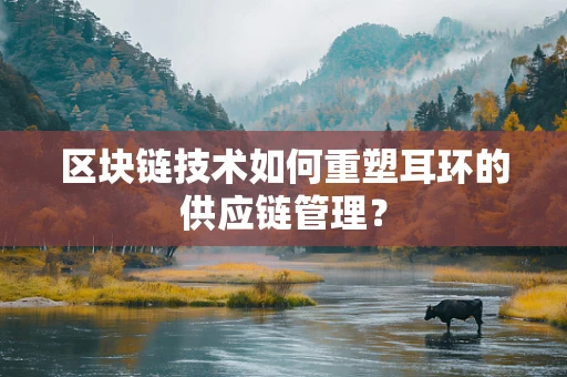 区块链技术如何重塑耳环的供应链管理？
