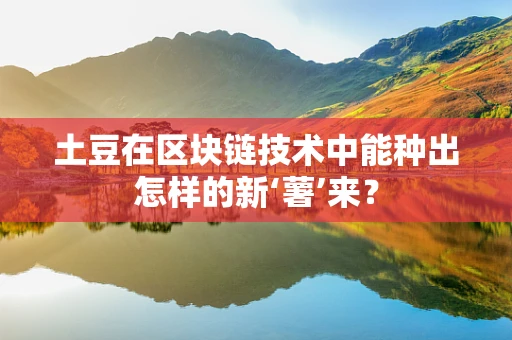 土豆在区块链技术中能种出怎样的新‘薯’来？