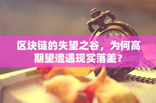 区块链的失望之谷，为何高期望遭遇现实落差？