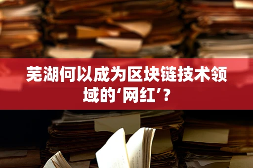 芜湖何以成为区块链技术领域的‘网红’？