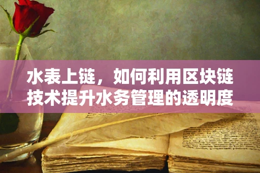 水表上链，如何利用区块链技术提升水务管理的透明度与效率？