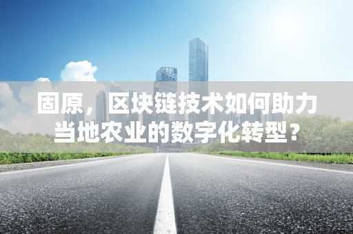 固原，区块链技术如何助力当地农业的数字化转型？