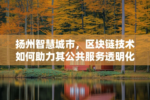 扬州智慧城市，区块链技术如何助力其公共服务透明化？