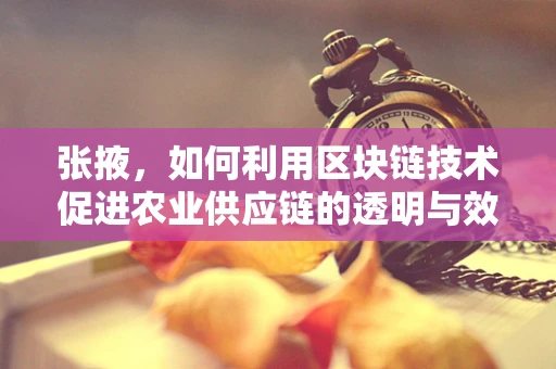张掖，如何利用区块链技术促进农业供应链的透明与效率？