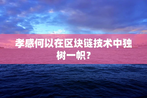 孝感何以在区块链技术中独树一帜？
