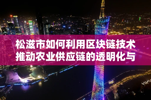 松滋市如何利用区块链技术推动农业供应链的透明化与效率提升？
