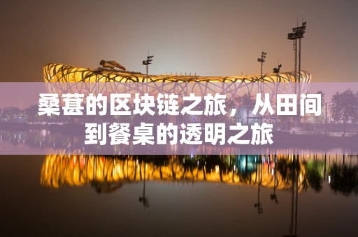 桑葚的区块链之旅，从田间到餐桌的透明之旅