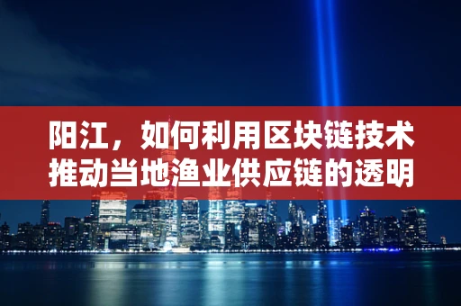 阳江，如何利用区块链技术推动当地渔业供应链的透明化与可持续发展？