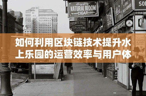 如何利用区块链技术提升水上乐园的运营效率与用户体验？