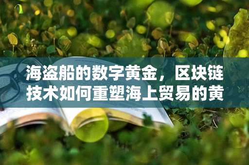 海盗船的数字黄金，区块链技术如何重塑海上贸易的黄金时代？