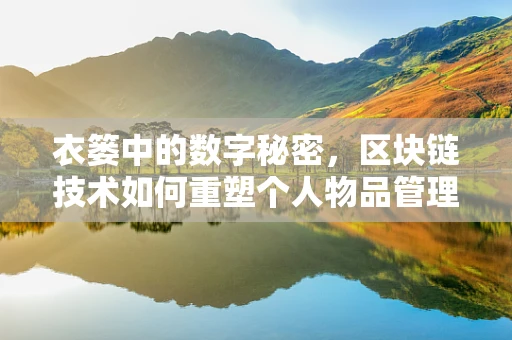 衣篓中的数字秘密，区块链技术如何重塑个人物品管理？