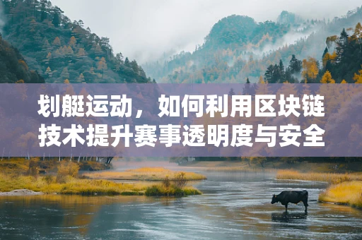 划艇运动，如何利用区块链技术提升赛事透明度与安全性？