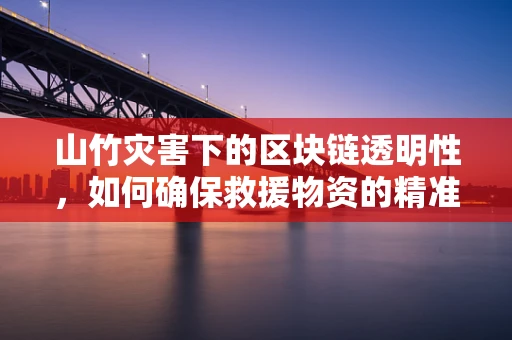 山竹灾害下的区块链透明性，如何确保救援物资的精准分发？