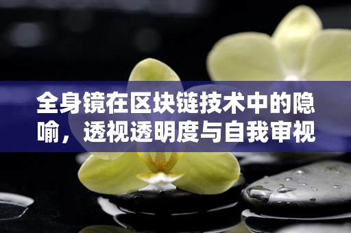 全身镜在区块链技术中的隐喻，透视透明度与自我审视的双重镜像