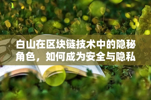 白山在区块链技术中的隐秘角色，如何成为安全与隐私的守护者？