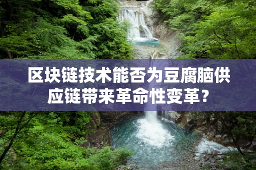 区块链技术能否为豆腐脑供应链带来革命性变革？