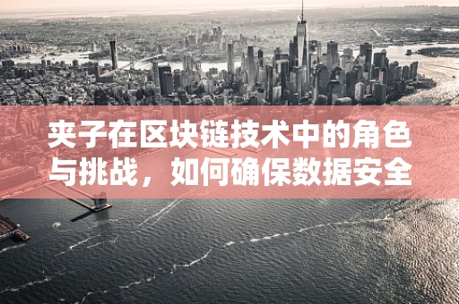 夹子在区块链技术中的角色与挑战，如何确保数据安全与隐私？
