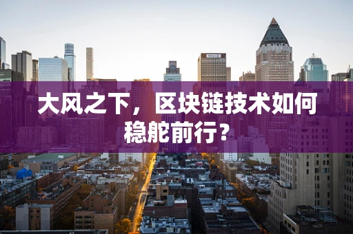 大风之下，区块链技术如何稳舵前行？