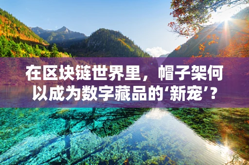 在区块链世界里，帽子架何以成为数字藏品的‘新宠’？