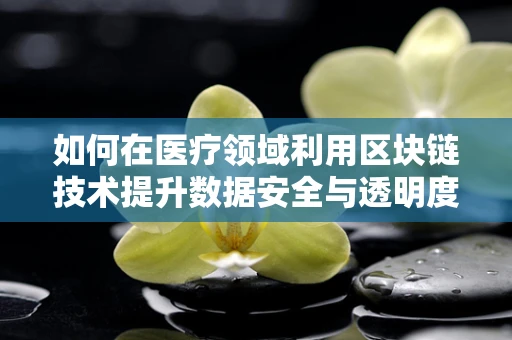 如何在医疗领域利用区块链技术提升数据安全与透明度？