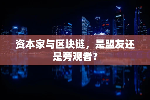 资本家与区块链，是盟友还是旁观者？