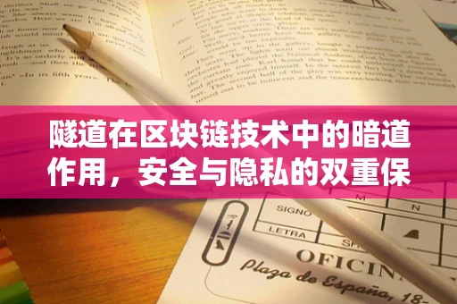隧道在区块链技术中的暗道作用，安全与隐私的双重保障