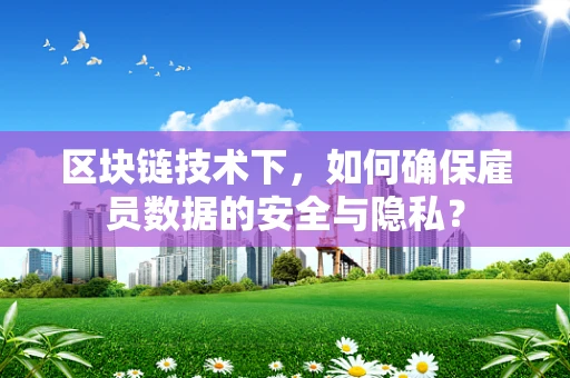 区块链技术下，如何确保雇员数据的安全与隐私？