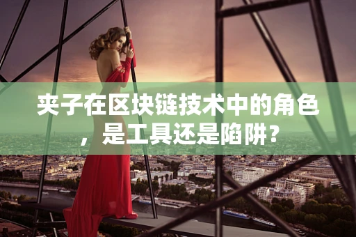 夹子在区块链技术中的角色，是工具还是陷阱？