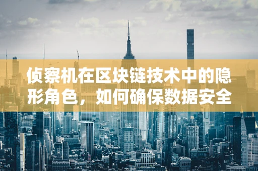 侦察机在区块链技术中的隐形角色，如何确保数据安全与透明？