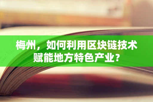 梅州，如何利用区块链技术赋能地方特色产业？