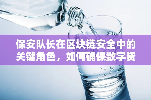 保安队长在区块链安全中的关键角色，如何确保数字资产的安全防线？