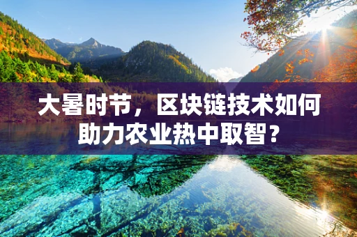 大暑时节，区块链技术如何助力农业热中取智？