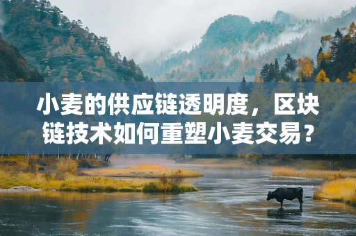 小麦的供应链透明度，区块链技术如何重塑小麦交易？