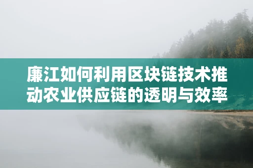 廉江如何利用区块链技术推动农业供应链的透明与效率？