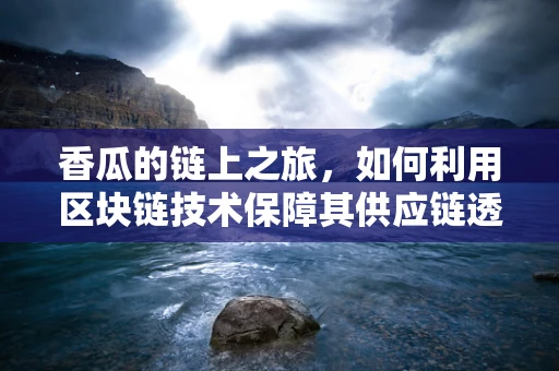 香瓜的链上之旅，如何利用区块链技术保障其供应链透明与安全？