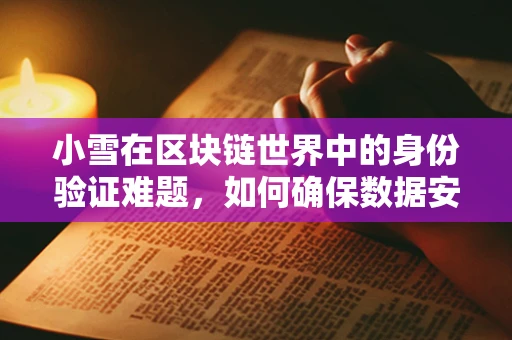 小雪在区块链世界中的身份验证难题，如何确保数据安全与隐私？