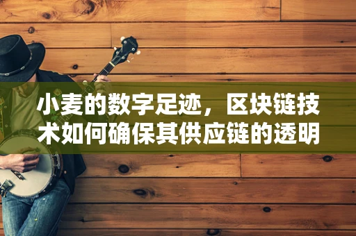小麦的数字足迹，区块链技术如何确保其供应链的透明与安全？