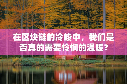 在区块链的冷峻中，我们是否真的需要怜悯的温暖？