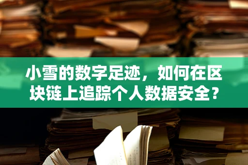 小雪的数字足迹，如何在区块链上追踪个人数据安全？